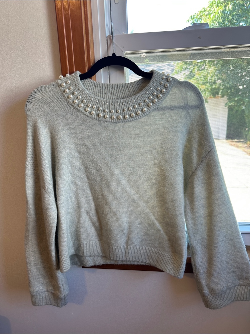 H&M Women’s Pearl-Trim Crewneck Cropped Sweater in Light Green